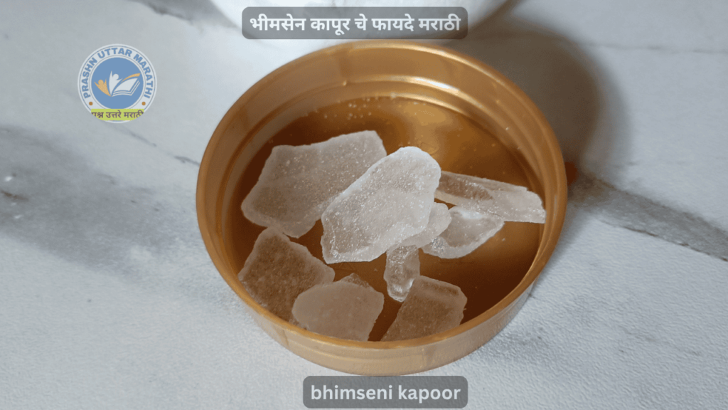 भीमसेन कापूर चे फायदे मराठी